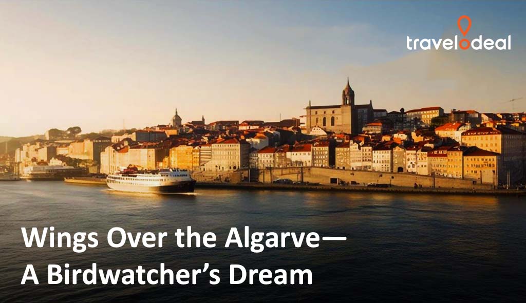 Scenic view of Algarve, Portugal, showcasing diverse bird species, a paradise for birdwatchers by Travelodeal.