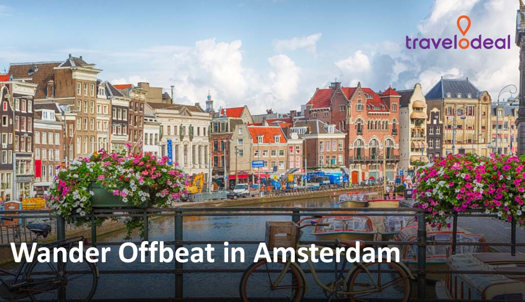 An Offbeat Guide to Amsterdam’s Must-Do Experiences