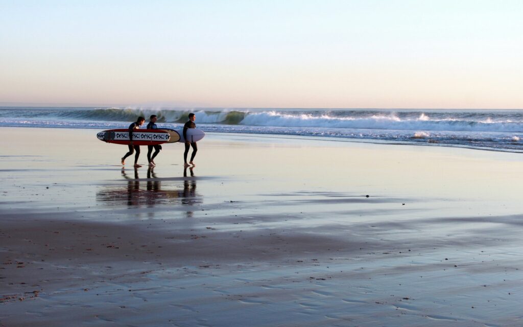 Surfing Lessons
